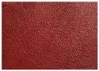 LEATHER 221