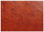 LEATHER 503